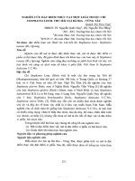 Nghiên cứu đặc điểm thực vật một loài thuộc chi stephania lour  thu hái tại bà rịa   vũng tàu 