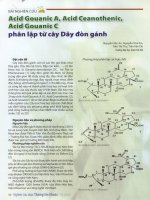 Acid gouanic a, acid ceanothenic, acid gouanic c phân lập từ cây dây đòn gánh 