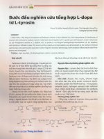 Bước đầu nghiên cứu tổng hợp l dopa từ l tyrosin 