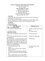 Giáo án âm nhạc cô và mẹ cho bé 4 5 tuổi