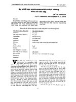 Sự phối hợp statin   macrolid và hội chứng tiêu cơ cấp (bài dịch) 