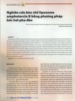 Nghiên cứu bào chế liposome amphotercin b bằng phương pháp bốc hơi pha đảo  