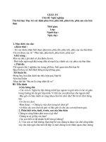 Phân biệt trên dưới trước sau, giáo án mầm non