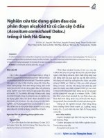 Nghiên cứu tác dụng giảm đau của phân đoạn alcaloid từ củ của cây ô đầu (aconitum carmichaeli debx ) trồng ở tỉnh hà giang  