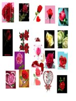 tập hình động thiết kế GADDT