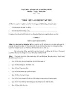 Mẫu thỏa ước lao động tập thể