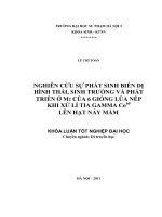Nghiên cứu sự phát triển sinh biến dị hình thái, sinh trưởng và phát triển ở m2 của 6 giống lúa nếp khi xử lí tia gamma