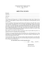 Mẫu đơn xin việc ngành nhân viên Marketing