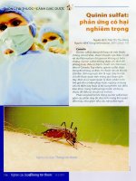 Quinin sulfat  phản ứng có hại nghiêm trọng (bài dịch) 