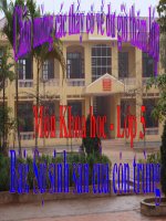 Sự sinh sản của côn trùng