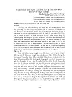 Nghiên cứu tác dụng cầm máu của bẹ cây móc trên động vật thực nghiệm 