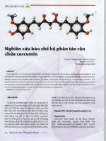 Nghiên cứu bào chế hệ phân tán rắn chứa curcumin  