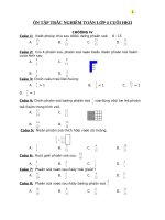 On tap trac nghiem Toan lop 4