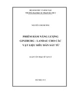 Phiếm hàm năng lượng ginzburg   landau cho các vật liệu siêu dẫn sắt từ  (LV00351)