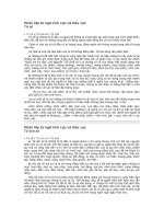 Phân lớp từ ngữ tích cực và tiêu cực