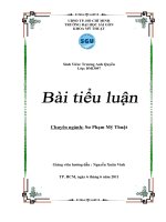 Sang kien kinh nghiem my thuat 2011 tieu luan