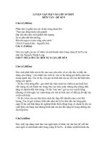 Ôn tập vào THPT môn Văn đề 13