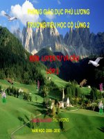 LTVC  Từ ngữ về Lễ hội