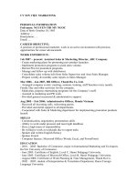 CV xin việc ngành marketing bằng Tiếng Anh