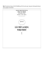 Giấy phép lao động