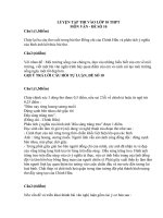 Ôn tập vào THPT môn Văn đề 14