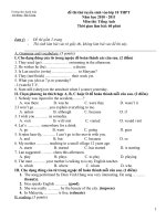Đề tuyển sinh Anh 10(10  11)   Thi thử