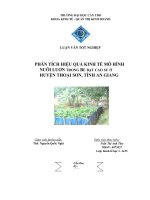 phân tích hiệu quả kinh tế mô hình nuôi lươn trong bể bạt cao su ở huyện thoại sơn, tỉnh an giang 