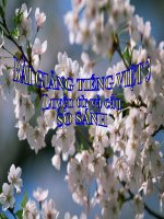 Bài giảng tiếng việt 3 tuần 5 bài luyện từ và câu   so sánh 