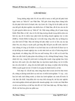 SỰ PHÁT TRIỂN DOANH NGHIỆP VỪA VÀ NHỎ CỦA NHẬT BẢN VÀ BÀI HỌC KINH NGHIỆM ÁP DỤNG CHO VIỆT NAM TRONG BỐI CẢNH HIỆN NAY.