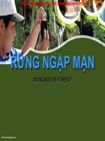 QUẢN LÍ BẢO VỆ RỪNG NHẬP MẶN