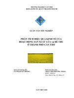 phân tích hiệu quả kinh tế của hoạt động sản xuất lúa vụ hè thu ở thành phố cần thơ 