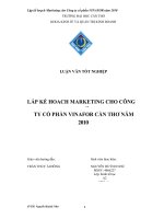 lập kế hoạch marketing cho công ty cổ phần vinafor cần thơ năm 2010 