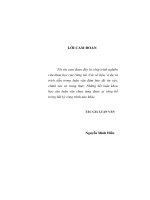 Pháp luật về phát hành chứng khoán công ty ở việt nam   thực trạng và phương hướng hoàn thiện   luận văn ths  luật  60 3