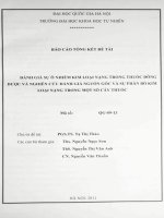 Đánh giá sự ô nhiễm kim loại nặng trong thuốc đông dược và nghiên cứu đánh giá gốc và phân bố kim loại nặng trong một số