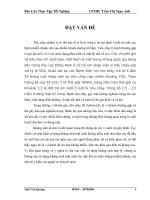 Tình hình gây bệnh tiêu chảy cấp và tính đề kháng kháng sinh do vi khuẩn Salmonella tại bệnh viện nhi đồng 2
