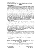 Trách nhiệm của uỷ ban nhân dân các cấp trong việc quản lí môi trường