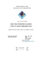 phân tích tình hình tài chính công ty trách nhiệm hữu hạn một thành viên nông nghiệp cờ đỏ 