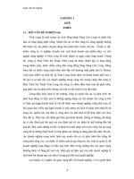 phân tích tình hình lợi nhuận của công ty phát triển kỹ thuật vĩnh long 