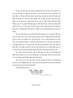 phân tích tình hình tài chính của công ty trách nhiệm hữu hạn hoàng thắng 