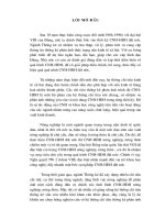 Xây dựng hệ thống chỉ tiêu phản ánh tình hình Công nghiệp hóa - Hiện đại hóa nông nghiệp, nông thôn .