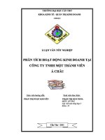 phân tích hoạt động kinh doanh tại công ty tnhh một thành viên á châu 