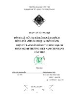 mức độ hài lòng của khách hàng đối với các dịch vụ ngân hàng điện tử tại ngân hàng tmcp ngoại thương chi nhánh cần thơ 