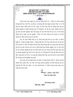 phân tích hoạt động kinh doanh tại doanh nghiệp tư nhân thương mại lê nguyễn 