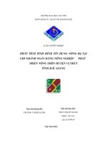 phân tích tình hình tín dụng nông hộ tại chi nhánh ngân hàng nông nghiệp và phát triển nông thôn huyện vị thủy – tỉnh hậu giang 