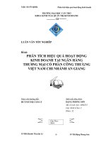 phân tích hiệu quả hoạt động kinh doanh tại ngân hàng thương mại cổ phần công thương việt nam chi nhánh an giang 