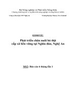 Báo cáo nghiên cứu nông nghiệp   phát triển chăn nuôi bò thịt cấp xã bền vững tại nghĩa đàn, nghệ an   MS2