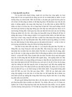 Phân tích cấu trúc, chức năng cảnh quan phục vụ mục đích tổ chức lãnh thổ sản xuất nông, lâm nghiệp và du lịch tỉnh Yên Bái