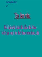 TLV Kể lại một trận thi đấu thể thao