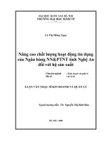 Nâng cao chất lượng hoạt động tín dụng của ngân hàng NNPTNT tỉnh nghệ an đối với hộ sản xuất   luận văn ths  kinh doanh