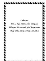 Luận văn một số biện pháp nhằm nâng cao hiệu quả kinh doanh tại công ty xuất nhập khẩu hàng không AIRIMEX